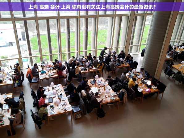 上海 高端 会计 上海 你有没有关注上海高端会计的最新资讯？