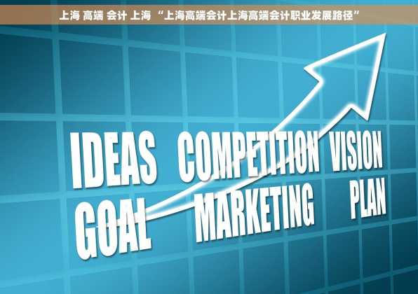 上海 高端 会计 上海 “上海高端会计上海高端会计职业发展路径”
