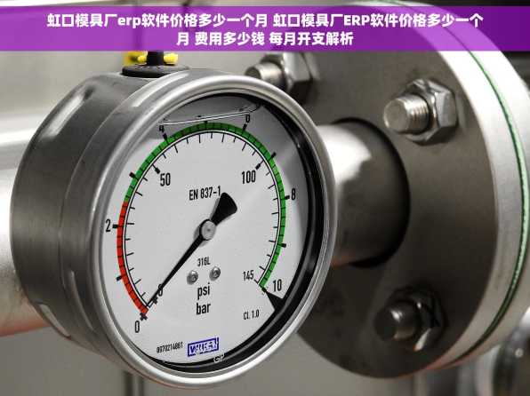虹口模具厂erp软件价格多少一个月 虹口模具厂ERP软件价格多少一个月 费用多少钱 每月开支解析