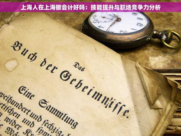 上海人在上海做会计好吗：技能提升与职场竞争力分析