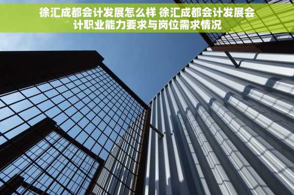 徐汇成都会计发展怎么样 徐汇成都会计发展会计职业能力要求与岗位需求情况