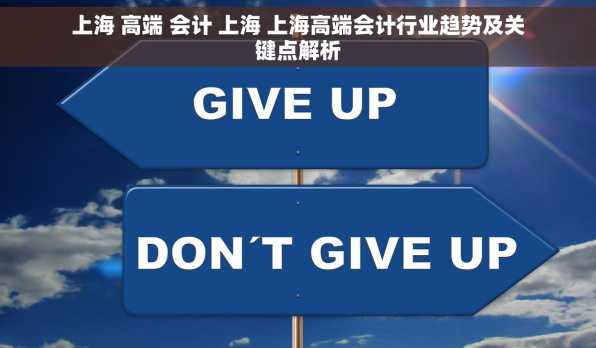 上海 高端 会计 上海 上海高端会计行业趋势及关键点解析