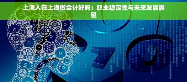 上海人在上海做会计好吗：职业稳定性与未来发展展望