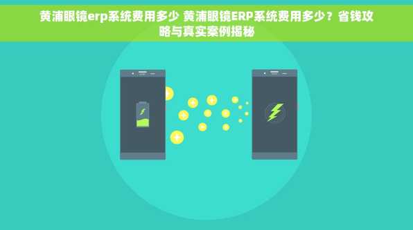 黄浦眼镜erp系统费用多少 黄浦眼镜ERP系统费用多少？省钱攻略与真实案例揭秘