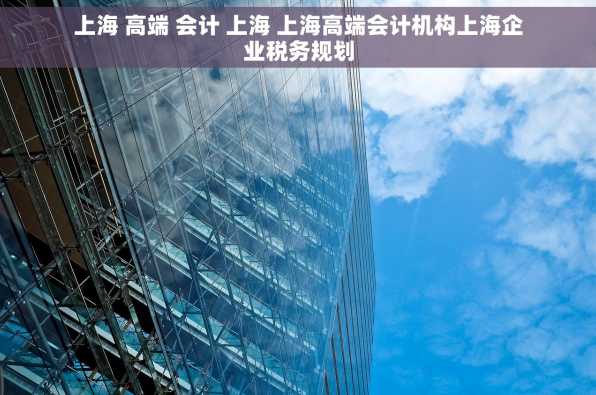 上海 高端 会计 上海 上海高端会计机构上海企业税务规划
