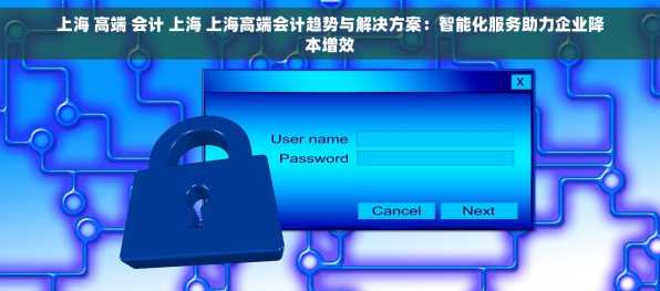 上海 高端 会计 上海 上海高端会计趋势与解决方案：智能化服务助力企业降本增效