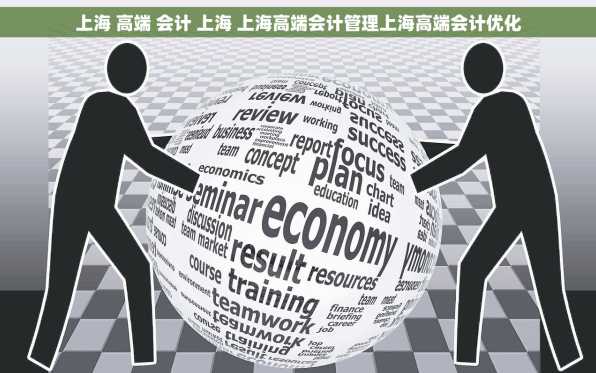 上海 高端 会计 上海 上海高端会计管理上海高端会计优化