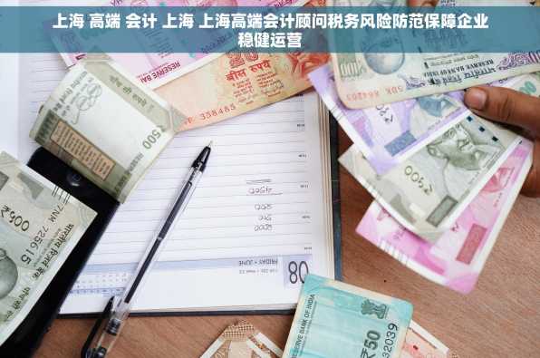 上海 高端 会计 上海 上海高端会计顾问税务风险防范保障企业稳健运营