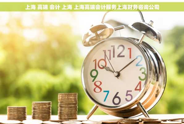 上海 高端 会计 上海 上海高端会计服务上海财务咨询公司