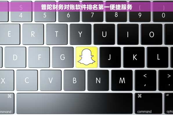 普陀财务对账软件排名第一便捷服务