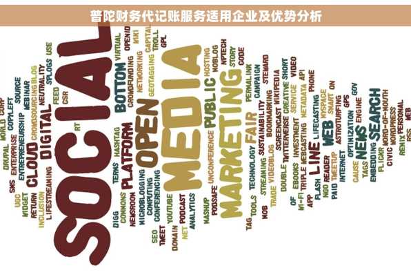 普陀财务代记账服务适用企业及优势分析
