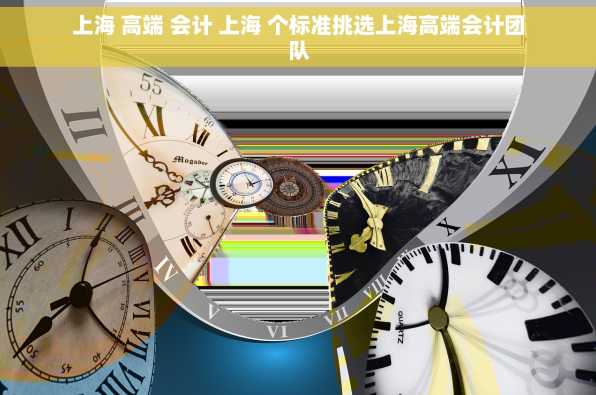 上海 高端 会计 上海 个标准挑选上海高端会计团队