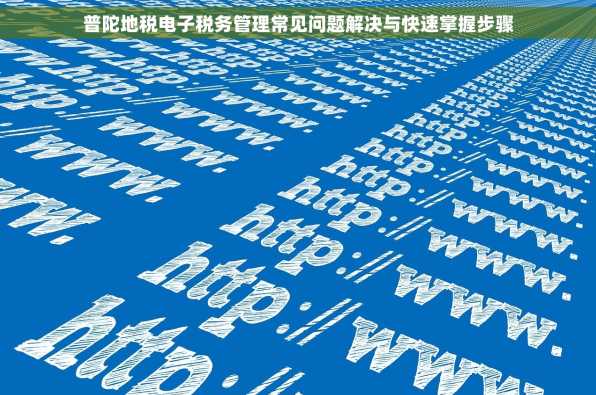 普陀地税电子税务管理常见问题解决与快速掌握步骤