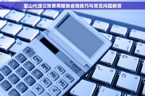 宝山代理记账费用做账省钱技巧与常见问题解答