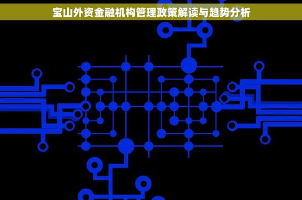 宝山外资金融机构管理政策解读与趋势分析