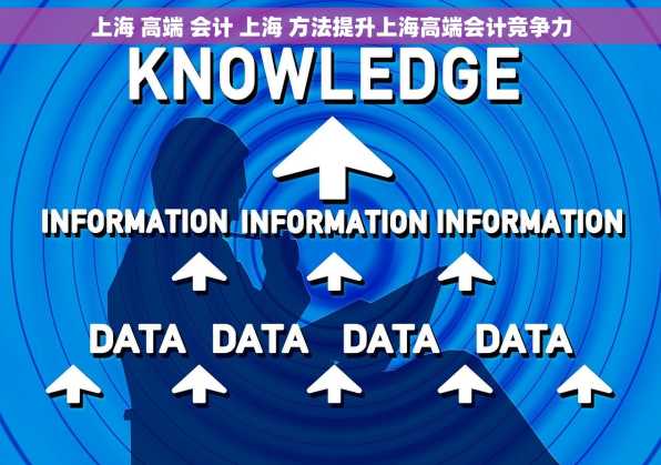 上海 高端 会计 上海 方法提升上海高端会计竞争力