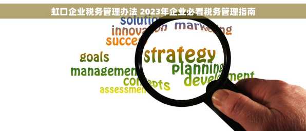 虹口企业税务管理办法 2023年企业必看税务管理指南