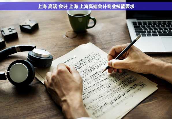 上海 高端 会计 上海 上海高端会计专业技能要求