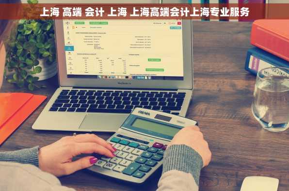 上海 高端 会计 上海 上海高端会计上海专业服务