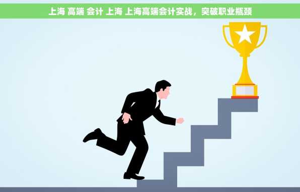 上海 高端 会计 上海 上海高端会计实战，突破职业瓶颈