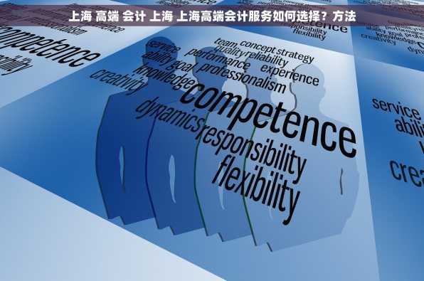 上海 高端 会计 上海 上海高端会计服务如何选择？方法
