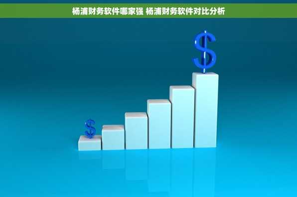 杨浦财务软件哪家强 杨浦财务软件对比分析
