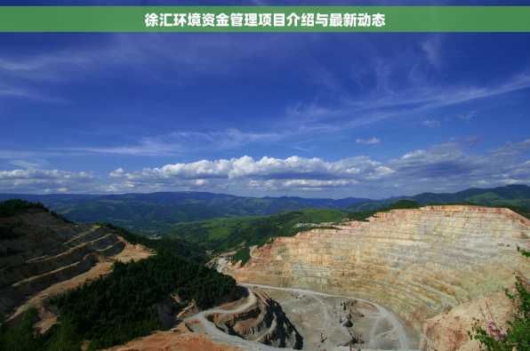 徐汇环境资金管理项目介绍与最新动态