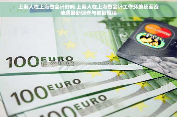 上海人在上海做会计好吗 上海人在上海做会计工作环境及薪资待遇最新调查与数据解读