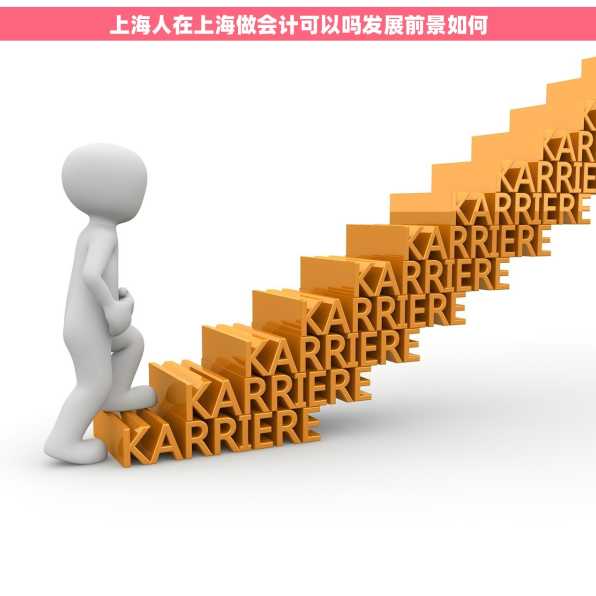 上海人在上海做会计可以吗发展前景如何
