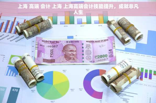上海 高端 会计 上海 上海高端会计技能提升，成就非凡人生