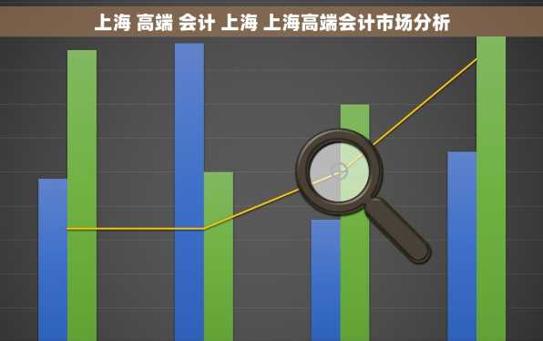 上海 高端 会计 上海 上海高端会计市场分析