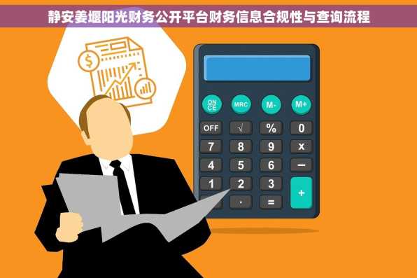 静安姜堰阳光财务公开平台财务信息合规性与查询流程