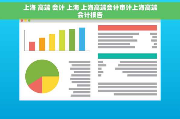 上海 高端 会计 上海 上海高端会计审计上海高端会计报告