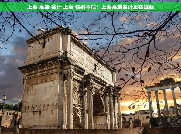 上海 高端 会计 上海 你别不信！上海高端会计正在崛起