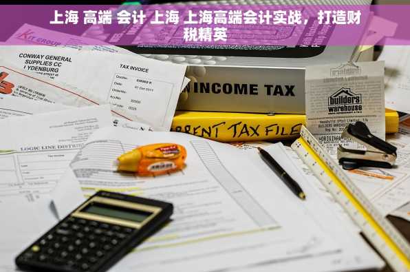 上海 高端 会计 上海 上海高端会计实战，打造财税精英