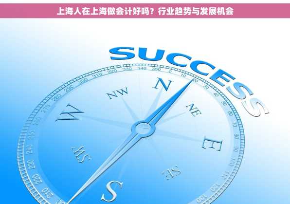 上海人在上海做会计好吗？行业趋势与发展机会