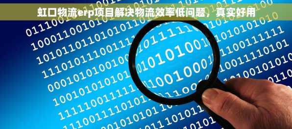 虹口物流erp项目解决物流效率低问题，真实好用