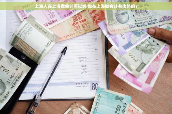 上海人在上海做会计可以吗 你在上海做会计有出路吗？