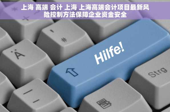 上海 高端 会计 上海 上海高端会计项目最新风险控制方法保障企业资金安全