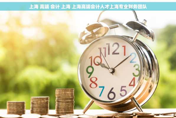 上海 高端 会计 上海 上海高端会计人才上海专业财务团队