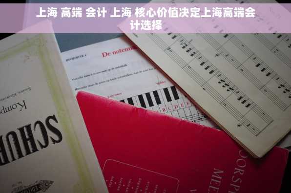 上海 高端 会计 上海 核心价值决定上海高端会计选择
