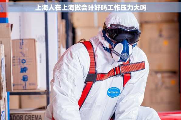 上海人在上海做会计好吗工作压力大吗
