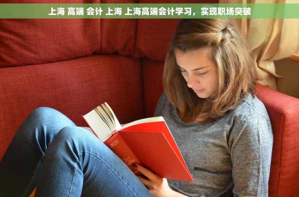 上海 高端 会计 上海 上海高端会计学习，实现职场突破