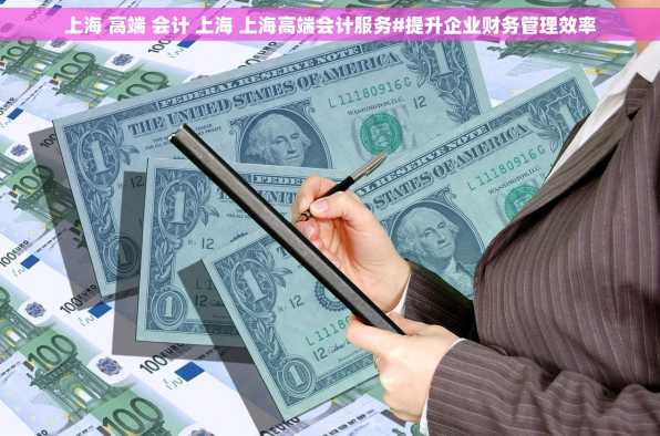 上海 高端 会计 上海 上海高端会计服务#提升企业财务管理效率