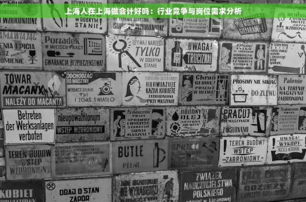 上海人在上海做会计好吗：行业竞争与岗位需求分析