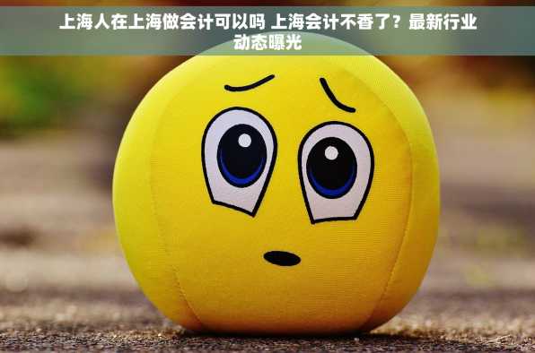 上海人在上海做会计可以吗 上海会计不香了？最新行业动态曝光