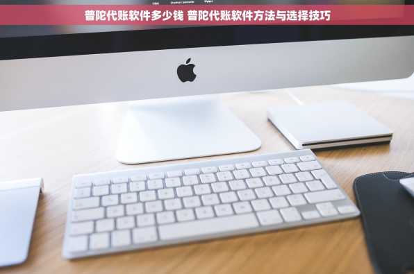 普陀代账软件多少钱 普陀代账软件方法与选择技巧