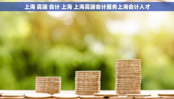 上海 高端 会计 上海 上海高端会计服务上海会计人才