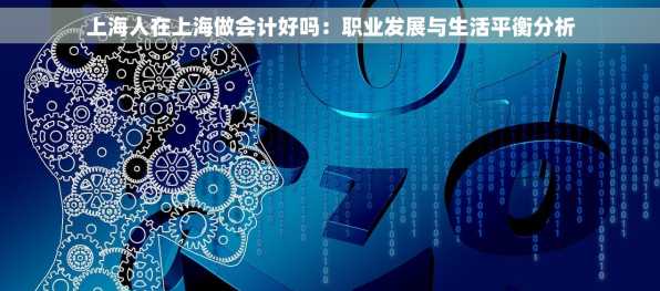 上海人在上海做会计好吗：职业发展与生活平衡分析