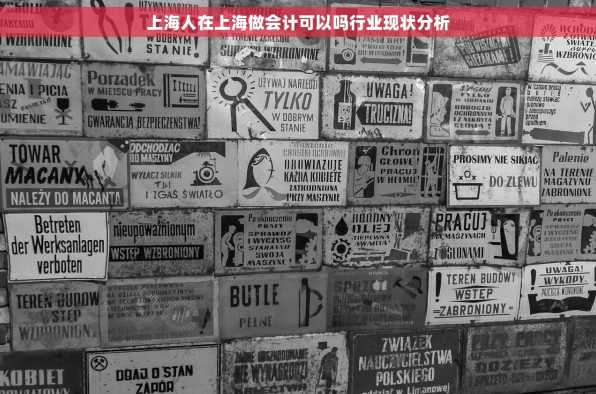 上海人在上海做会计可以吗行业现状分析